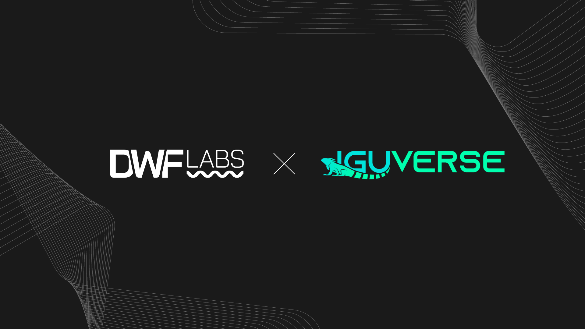 IguVerse enters into a partnership with DWF Labs