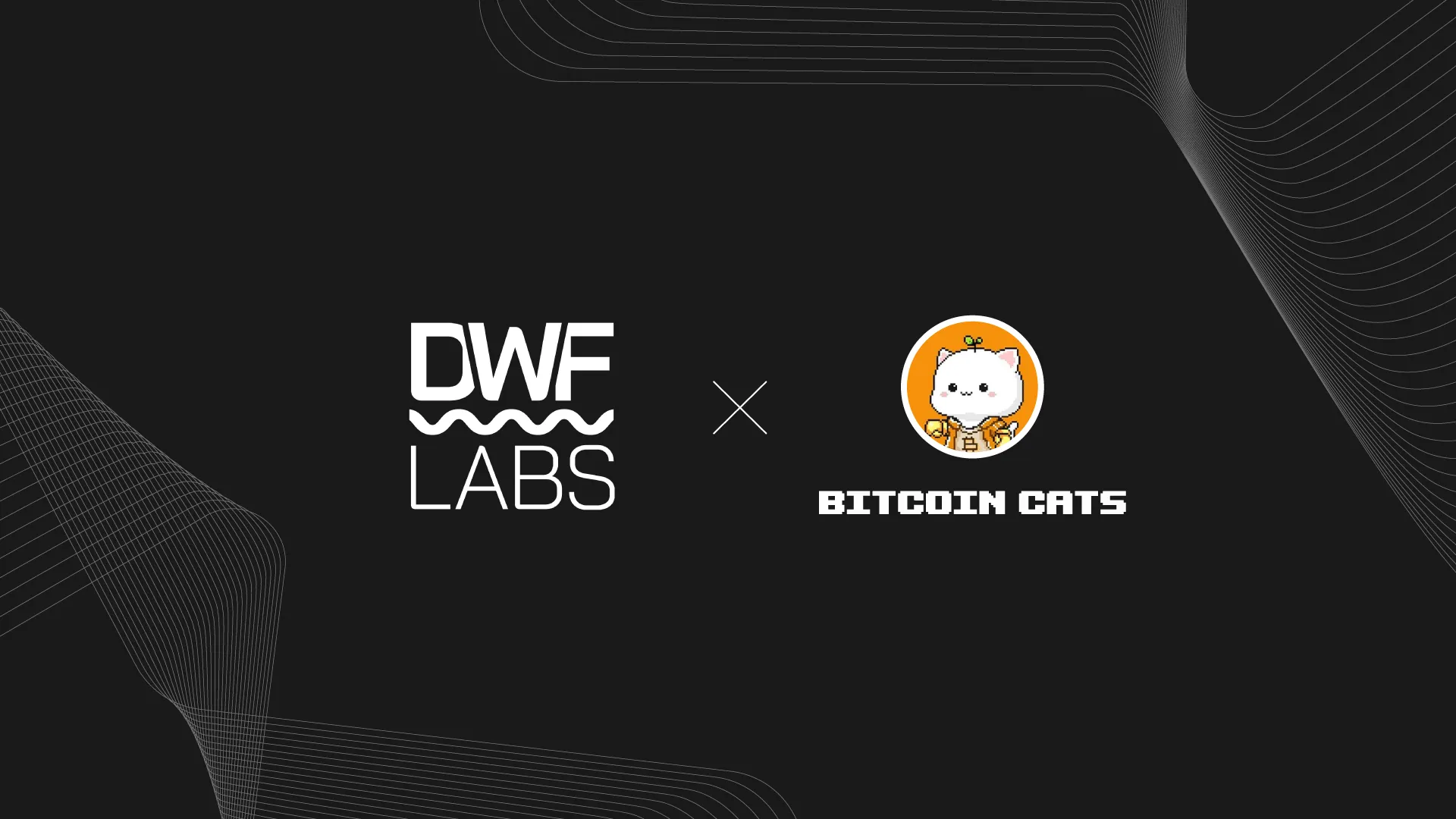 Bitcoin Cats x DWF Labs Strategic Partnership Announcement