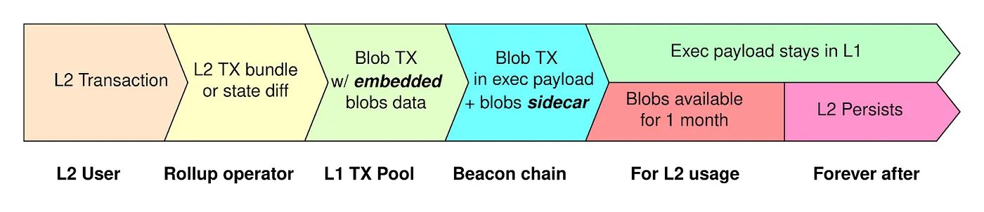 A blob transaction lifecycle