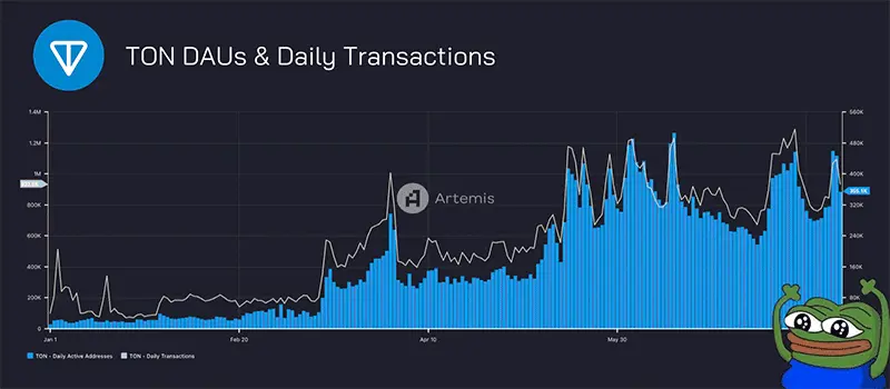 Daily active users and daily transaction count in the TON blockchain. Source: Artemis. Data as of Aug 2, 2024.