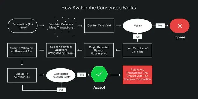 The working scheme of the Avalanche Snowman consensus. Source: Avalanche Documentation