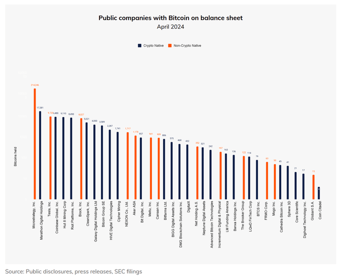 Public companies with Bitcoin on the balance sheet. Source: Chainalysis